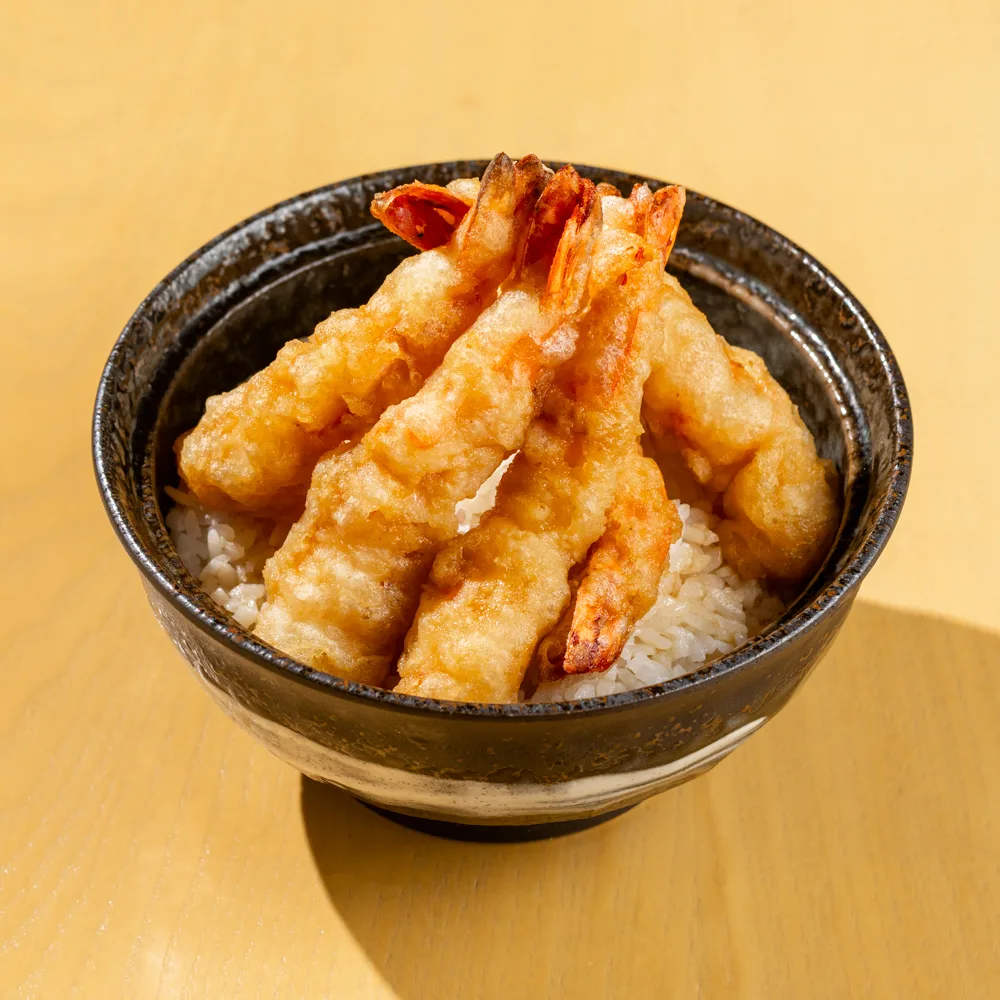 Ebi TENDON